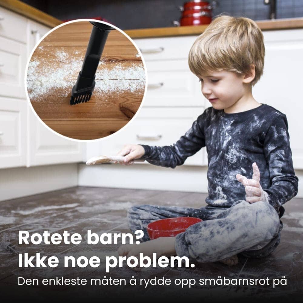 DustaClean image